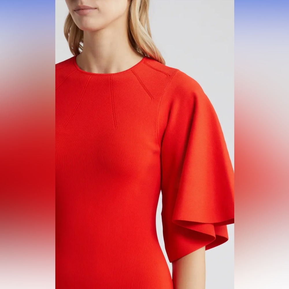 Ted Baker Dress - Picture 4 of 4